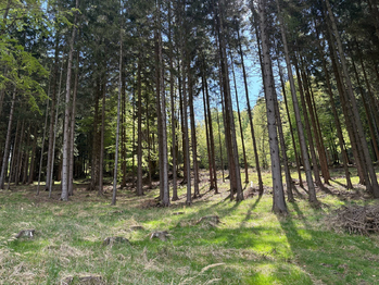 Prodej chaty / chalupy 110 m², Turzovka