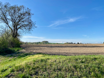 Velký pozemek na výstavbu farmy - Prodej pozemku 54450 m², Kunice
