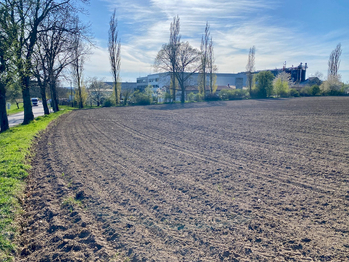 Velký pozemek na výstavbu farmy - Prodej pozemku 54450 m², Kunice