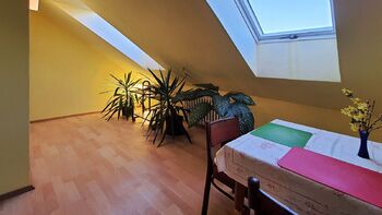 Pronájem bytu 3+1 v osobním vlastnictví 70 m², Moravská Nová Ves