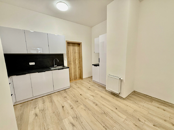 Pronájem bytu 2+1 v osobním vlastnictví 66 m², Plzeň