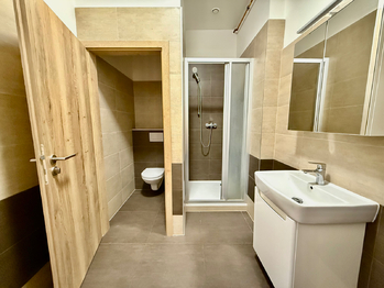 Pronájem bytu 2+1 v osobním vlastnictví 66 m², Plzeň