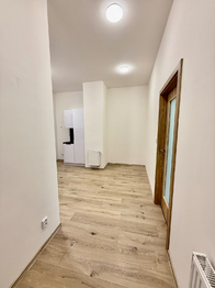 Pronájem bytu 2+1 v osobním vlastnictví 66 m², Plzeň