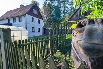 Prodej chaty / chalupy 190 m², Aš