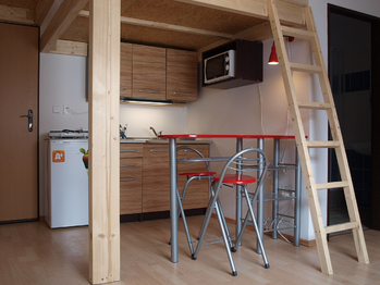 Pronájem bytu 1+kk v osobním vlastnictví 25 m², Rebešovice