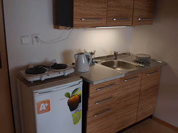 Pronájem bytu 1+kk v osobním vlastnictví 25 m², Rebešovice