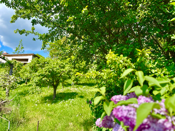 Zahrada - Prodej chaty / chalupy 65 m², Račice-Pístovice