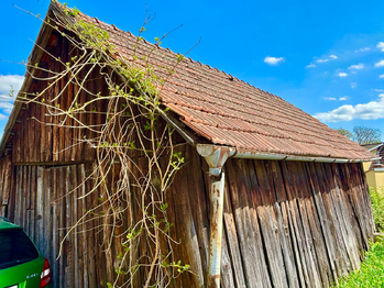 Zemědělská budova naproti domu - Prodej chaty / chalupy 65 m², Račice-Pístovice