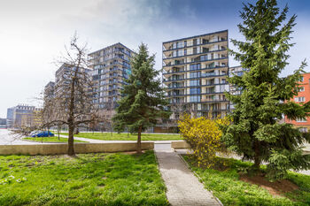 Pronájem bytu 3+kk v osobním vlastnictví 92 m², Praha 3 - Žižkov