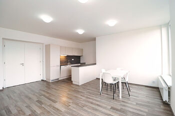 Pronájem bytu 3+kk v osobním vlastnictví 95 m², Praha 4 - Nusle