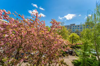 Pronájem bytu 2+kk v osobním vlastnictví 45 m², Praha 4 - Chodov