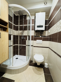Pronájem bytu 1+1 v družstevním vlastnictví 34 m², Vyškov