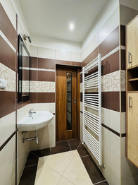 Pronájem bytu 1+1 v družstevním vlastnictví 34 m², Vyškov