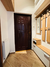 Pronájem bytu 1+1 v družstevním vlastnictví 34 m², Vyškov