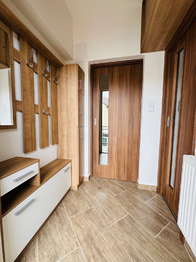 Pronájem bytu 1+1 v družstevním vlastnictví 34 m², Vyškov