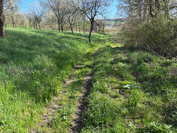 Prodej pozemku 800 m², Uherský Brod