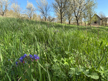 Prodej pozemku 800 m², Uherský Brod