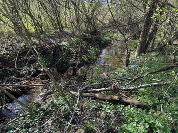Prodej pozemku 800 m², Uherský Brod