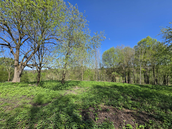 Prodej pozemku 2867 m², Ústí nad Orlicí