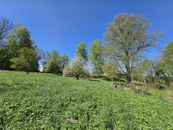 Prodej pozemku 2972 m², Ústí nad Orlicí