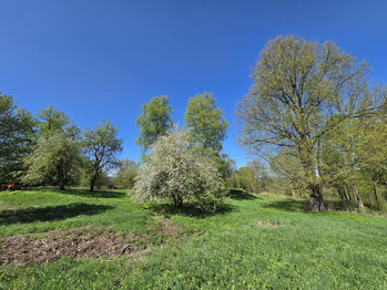 Prodej pozemku 2003 m², Ústí nad Orlicí