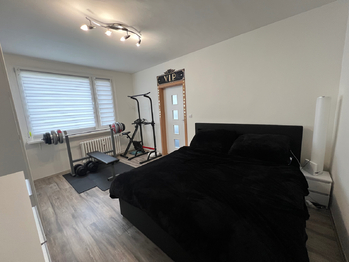 Prodej bytu 2+kk v družstevním vlastnictví 36 m², Hostomice