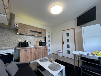 Prodej bytu 2+kk v družstevním vlastnictví 36 m², Hostomice