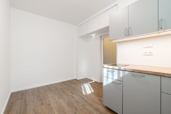 Pronájem bytu 1+kk v osobním vlastnictví 14 m², Praha 6 - Dejvice