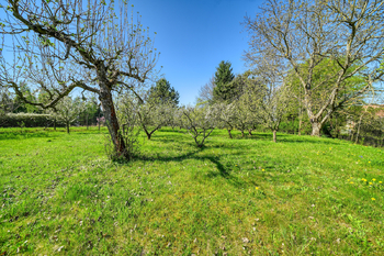 Prodej pozemku 816 m², Zalešany
