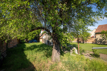Prodej RD Rakvice okr. Břeclav - Prodej domu 250 m², Rakvice