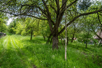 Prodej pozemku 1344 m², Podolí
