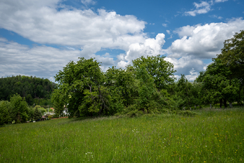 Prodej pozemku 1344 m², Podolí