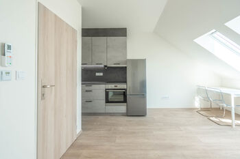Pronájem bytu 1+1 v osobním vlastnictví 34 m², Brno