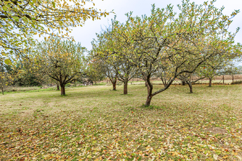 Prodej chaty / chalupy 190 m², Podmoky