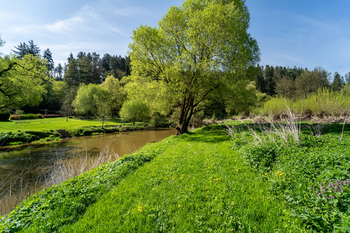 Prodej pozemku 2100 m², Vlastějovice