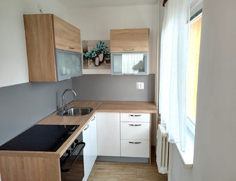 Prodej bytu 2+kk v družstevním vlastnictví 41 m², Most