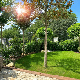 Prodej apartmánu 197 m², Lipí