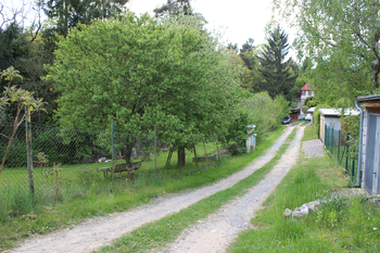 Prodej, Mokrovraty