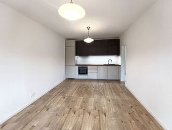 Kuchyňský kout - Pronájem bytu 2+kk v osobním vlastnictví 51 m², Praha 10 - Malešice 