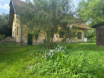 Prodej domu 300 m², Čistá