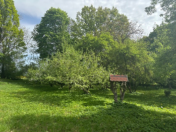 Prodej domu 300 m², Čistá