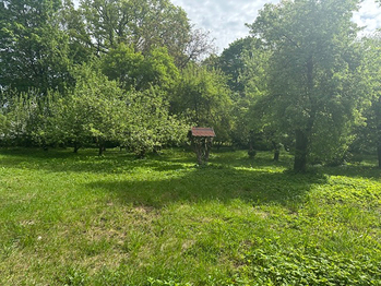 Prodej domu 300 m², Čistá