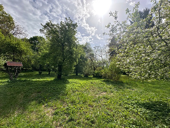 Prodej domu 300 m², Čistá