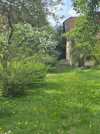 Prodej domu 300 m², Čistá