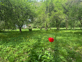 Prodej domu 300 m², Čistá