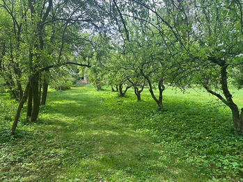 Prodej domu 300 m², Čistá
