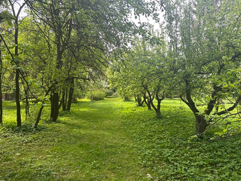 Prodej domu 300 m², Čistá