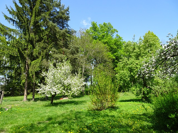 Prodej domu 300 m², Čistá
