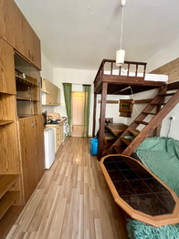 Prodej bytu 1+kk v osobním vlastnictví 23 m², Praha 8 - Karlín