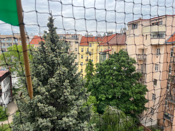 Výhled z balkonu - Pronájem bytu 2+kk v osobním vlastnictví 50 m², Praha 7 - Holešovice
